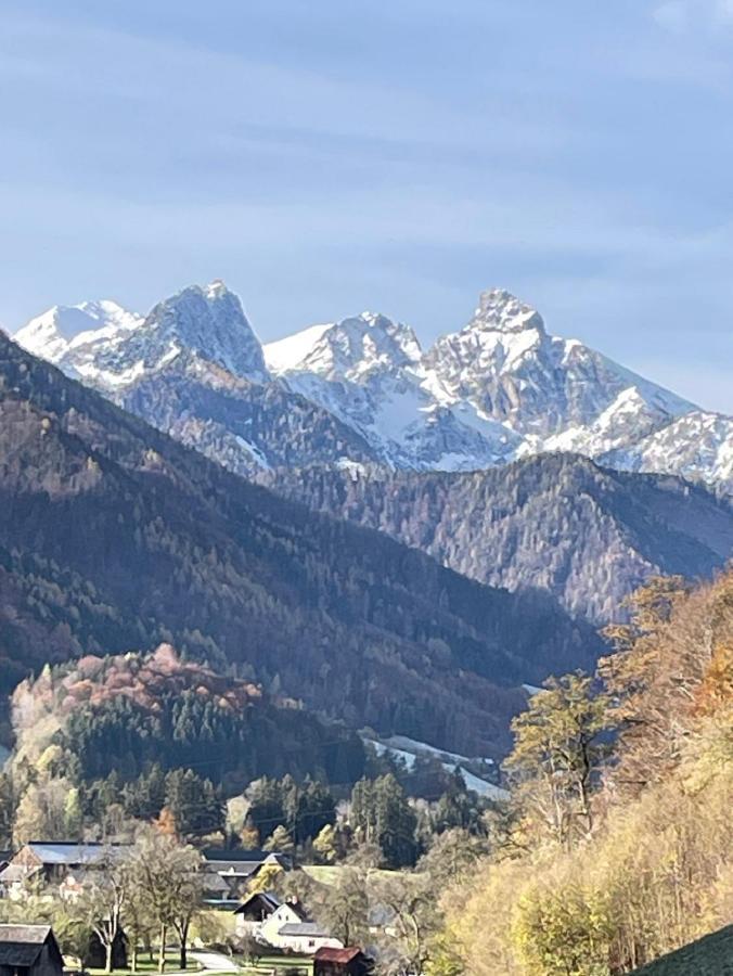 Ferienhaus Shaeuserl Landl  Bagian luar foto